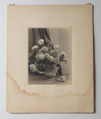 1920s «Marigolds» Bouquet Of Flowers In Vase Antique Bromide Photo Wilbur Taylor