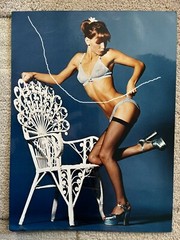 40x30cm Vintage Colour Fashion Photo 1974 Photo Model Silvie Switzerland Brief + Bra Underwear