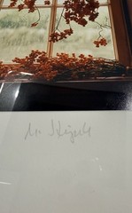 Michael Stipek «Winter Berries» Signed Fine Art Photograph Framed 13.5 x 17.5