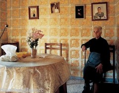 BERT TEUNISSEN Domestic Landscape SIGNED Photograph ‘Pino del Oro #3’ 2005 14×17