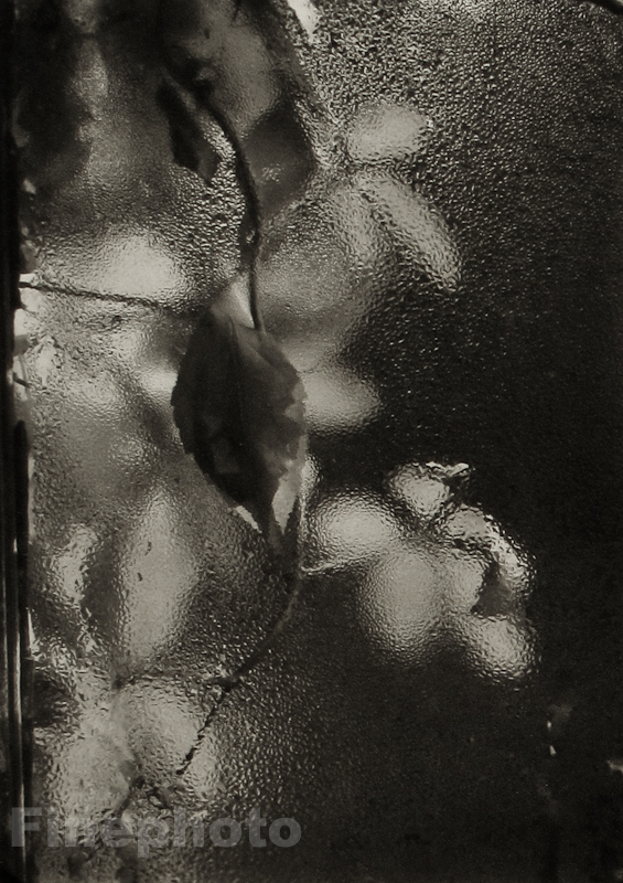 1940/78 Vintage JOSEF SUDEK Czech Photo Gravure Surreal WINDOW Flower Fine Art