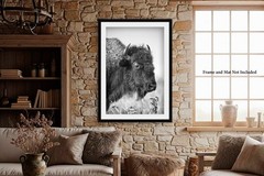 Bison Photography Print – Black and White Picture of Buffalo on Oklahoma Prairie