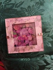 Anne Geddes 3×3 Picture Flower Baby