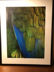 Art Photography Macro Large Digital Format Linda Jane Limited Mat/Framed Stellar