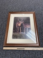 18.5 in x 23 in Deer Photo Framed