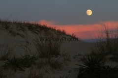 Sunrise or Sunset Photo, Pick One Image – Various Sizes