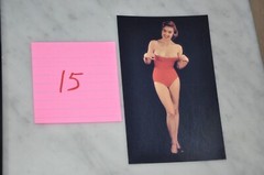 Pin Up Art Photograph Postcards Lot of 23