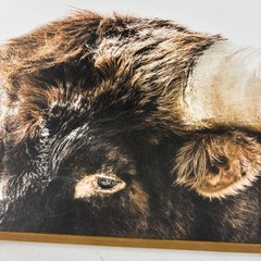 Longhorn Bull Head Close Up Framed Art Print Western Farmhouse Decor 16×17.5