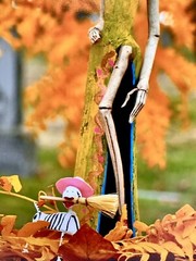 Sexy Catrina Day of the Dead Mexican Folk Art Photography