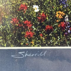 Sherrill SIGNED Matted Photo 8×10 Mt Hood & Wildflowers Meadow Oregon Vertical