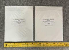 Art Print Set of 2 Fireworks by Jean-Louis Monfraix Washington, DC 2003 and 2009