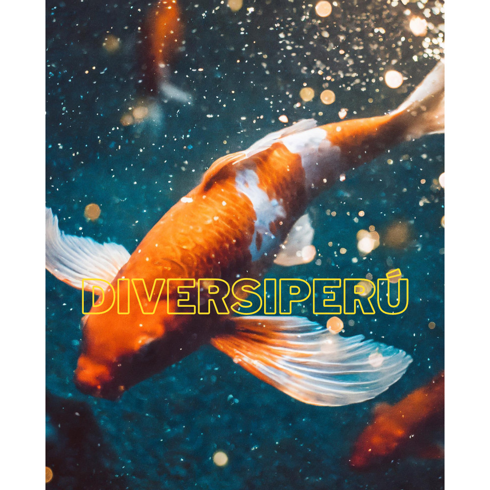 Digital Image nature Photo Wallpaper Background AI ART Fish Koi
