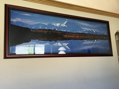 Reflection on Denali – 100″ x 30″ -Thomas D. Mangelsen