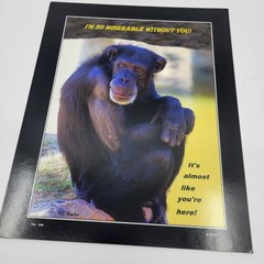 PHOTOGRAPHY Art MEME Prints Lot 3 Humorous Animals Nature Photos – HW029
