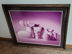 Large GREG COPELAND Fine Art Photograph SEPTEMBER STILL LIFE Flower Signed 1983