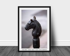 Horse Head Hitching Post Photography Print: New Orleans Louisiana French Quarter