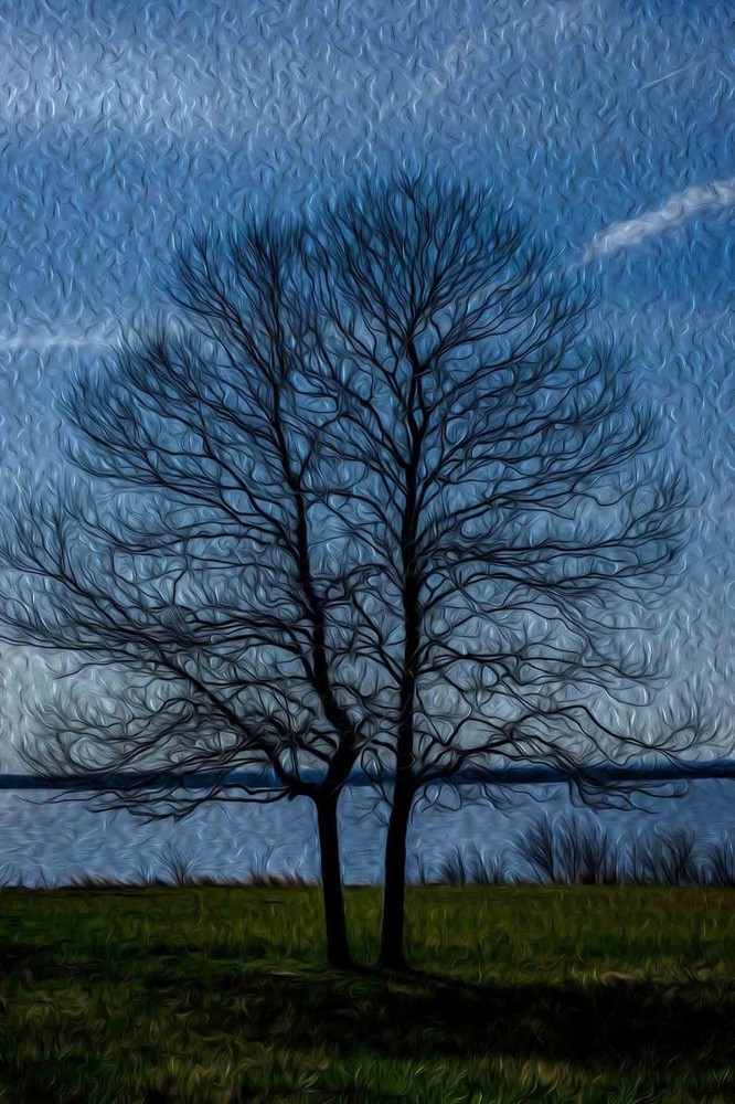 Fine Art Painted-Effect Tree Landscape – One-of-a-Kind Print – Surreal Textured