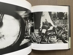 🎈RARE! +Bonus! Daido Moriyama: Stray Dog, 1999, SF Museum Of Modern Art