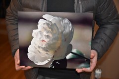 Metal Print – professional photograph on metal of a white peony – ready to hang
