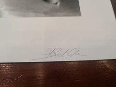 Brad Cole Untitled #12 1995 Gelatin Silver Original Photograph