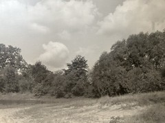 Arthur Gray Original Iconic Cleveland Ohio Dunes Scene WPA Original Photograph!!