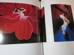 Art Illustrations Book SHUSEI NAGAOKA «ANDROLA IN LABYRINTH» 1984, JAPAN, Good