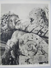 Signed Ildiko Butler photograph lichen covered sculpture/architecture study