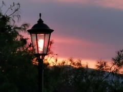 The sun shining cheerfully in a street lamp