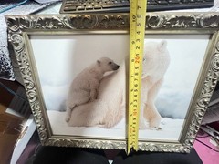 No glass plastic frame Polar Bear with Cub Wall Art 13″Lx10″Hx2″D(K5