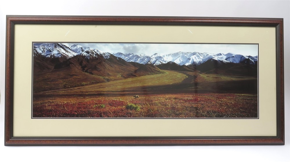Thomas D. Mangelsen «After The Ice Age» Grizzly Color Photograph 26.5″ x 57.25″