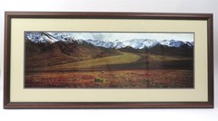 Thomas D. Mangelsen «After The Ice Age» Grizzly Color Photograph 26.5″ x 57.25″