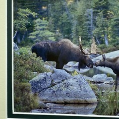 Fine Art Photography Print John T Slonina Matted 8×10 Moose River Fall Country
