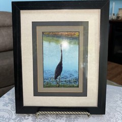 Louisiana Silhouette Of A Great Blue Heron Photo Print Signed & Dated