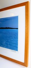 ONNE VAN DER WAL LARGE 48″ PHOTO GICLEE PRINT SIGNED NUMBERED RED BOW IN BAHAMAS