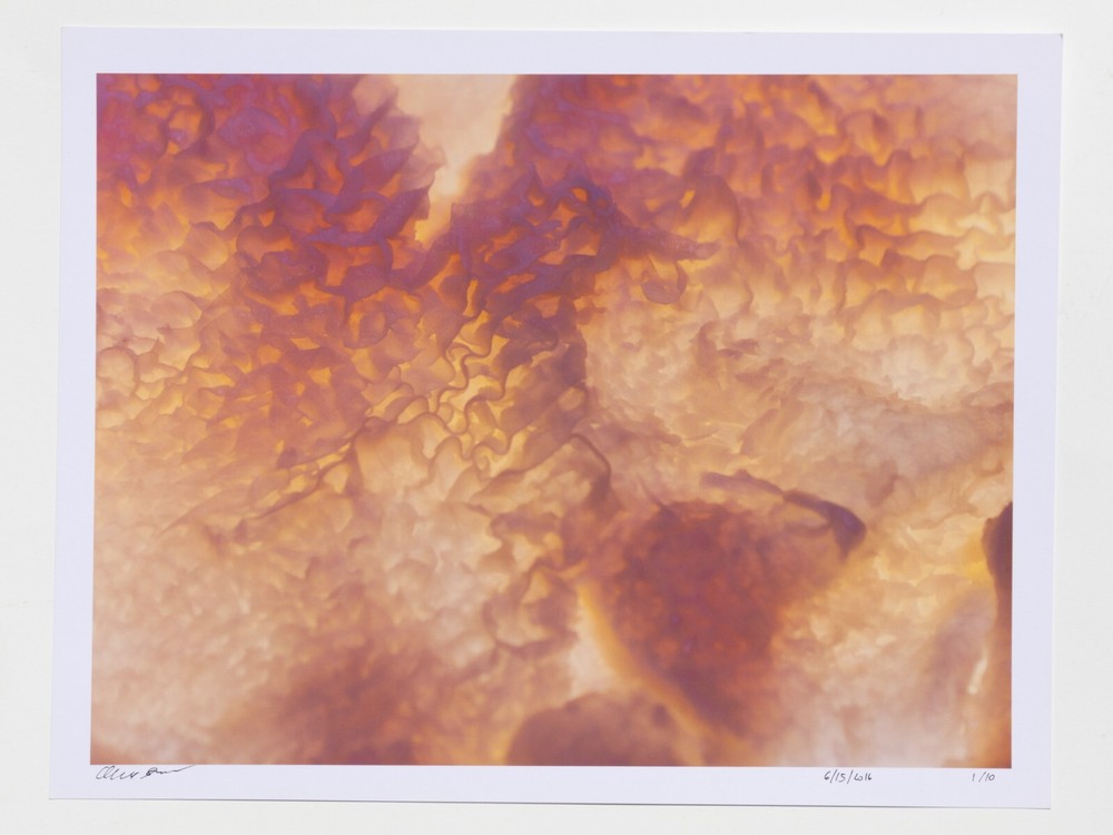Tripe – 17″ x 22″ Fine Art Photography Print – Artistic Food Photography