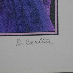 Lone Iris Foam Core Mounted Signed D Carlton Photograph Pacific NW Artist Color
