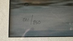 Thomas Mangelsen «EAGLE DIVING» Photograph Is 19×16 201/850 Signed