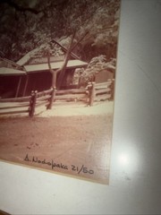 RARE Photographer Alexandre Nodopaka Woodside CA Signed And Numbered Store Tree