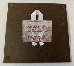 8×8 LORRI HONEYCUTT photo on masonite STRONGER TOGETHER~wedding in venus flytrap