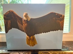Wall Art Printable Image Bird Wildlife Pics Acrylic Canvas Painting Wall Decor