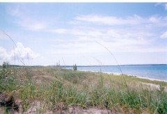Beautiful Nature Photographs, Archival Quality Prints, Matted and Signed