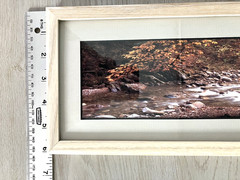 Joseph Barnett Photography Set of 2 Signed Autumn Themed Nature Framed Photos