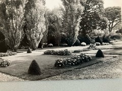 Jean Dieuzaide Original Photo Art Photography 1970 Toulouse XXe Garden Stamp