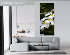 Island Elegance: Hawaiian White Plumeria Flower Wall Art Nature Print