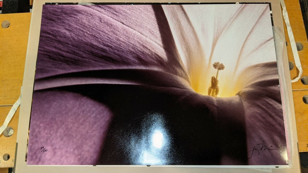 Jay Maisel The Power is On GTE set of 5 signed photographs all #’ed 29/100