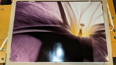 Jay Maisel The Power is On GTE set of 5 signed photographs all #’ed 29/100