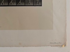 EADWEARD MUYBRIDGE authentic 1887 collotype ANIMAL LOCOMOTION PLATE 402 – lewitt
