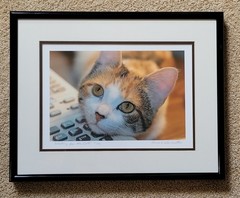 «Waiting For The Call» Limited Edition Signed Photograph By James H. Wennersten