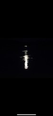Contemporary Landscape Night Color Photograph Set – Nature, Moon, Train, River