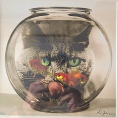 Lou Zale Limited Edition «Cat Watching Goldfish» Framed Art Photography 2015